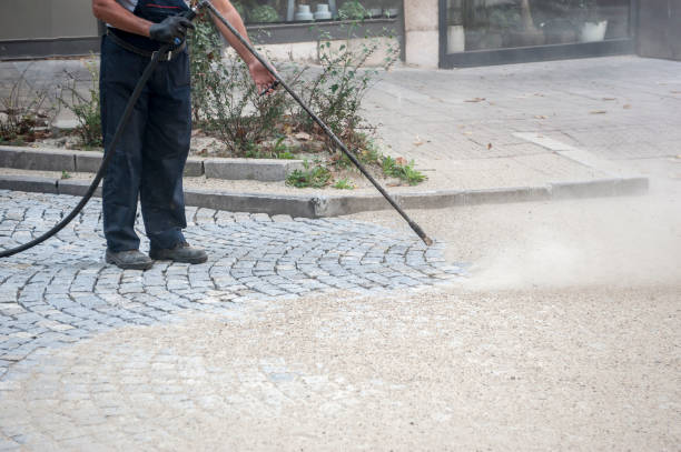 Best Sidewalk and Walkway Cleaning  in Wesley Chapel, FL